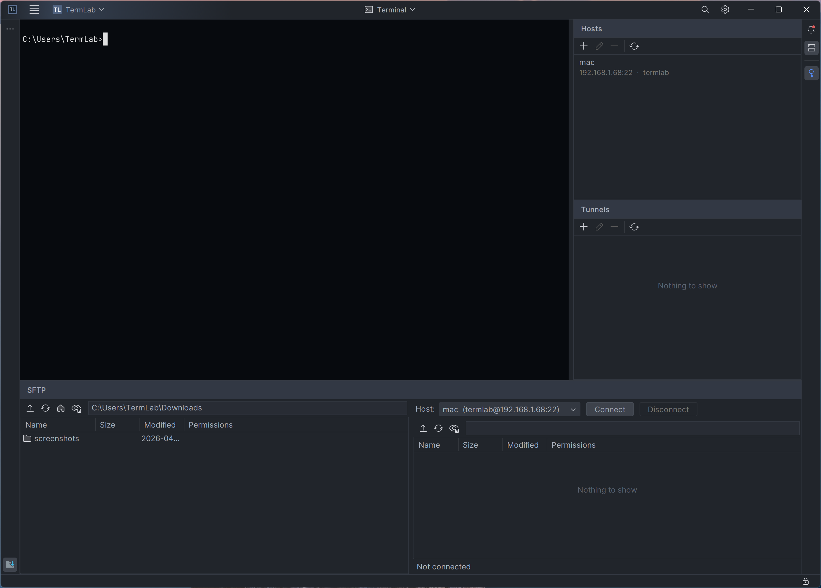 TermLab main window showing terminal, hosts list, tunnels list, and SFTP pane together.